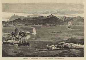 Cápalövészet a mauritiusi Port Louisban
